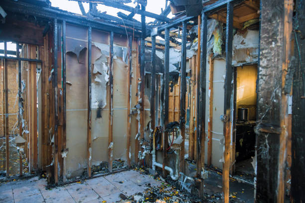 Professional Fire Damage Removal technician working in Wolf Point, MT